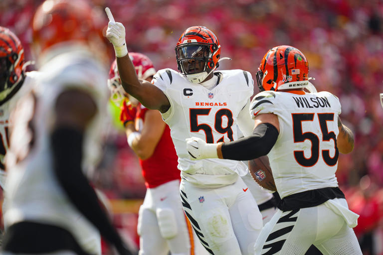 Bengals look to pounce back