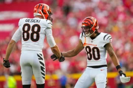 Bengals look to pounce back