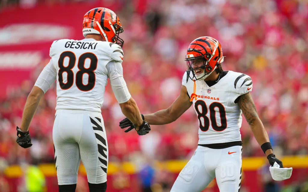 Bengals look to pounce back